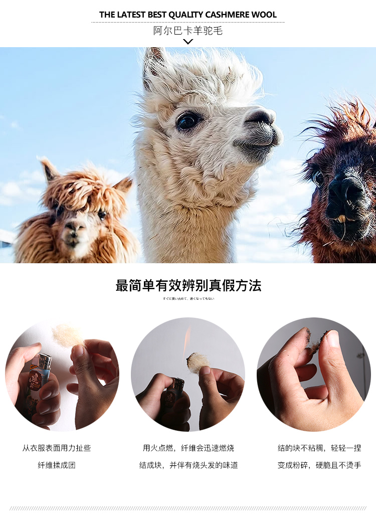 1541735238897824.jpg YH184020_03.jpg